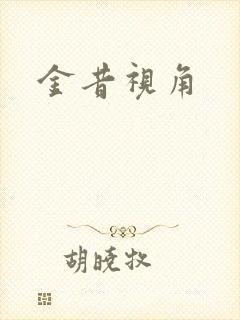 金昔视角封面