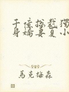 书籍封面