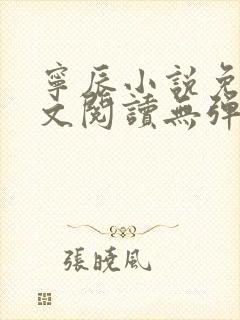 宁辰小说免费全文阅读无弹窗