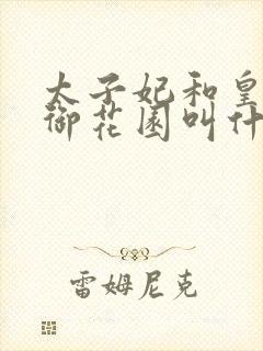 太子妃和皇帝在御花园叫什么小说