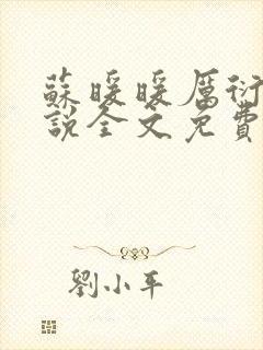 苏暖暖厉衍琛小说全文免费阅读