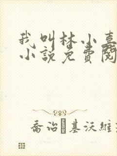 我叫林小喜全文小说免费阅读