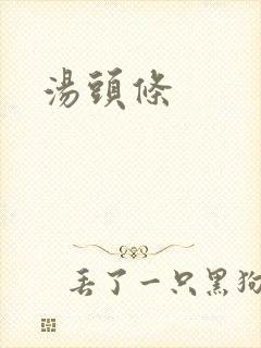 汤头条