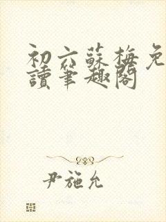 初六苏梅免费阅读笔趣阁
