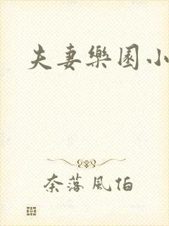 夫妻乐园小说
