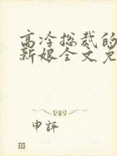 高冷总裁的抵债新娘全文免费阅读封面