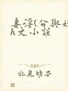 妻淫(公与媳)h文小说