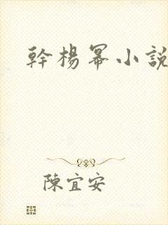 干杨幂小说