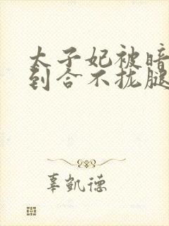 太子妃被暗卫C到合不拢腿封面