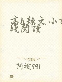 高h辣文小说在线阅读封面