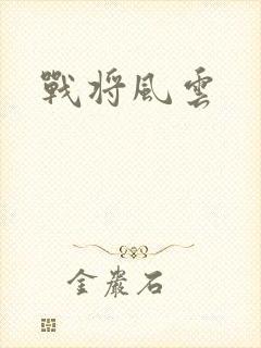 战将风云封面