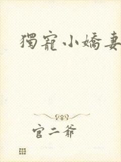 独宠小娇妻