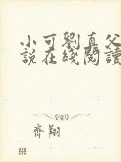 小可刘真父女小说在线阅读