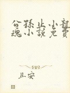 公孙止小龙女销魂小说免费阅读
