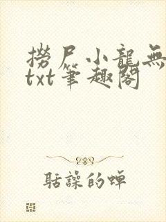 捞尸小龙无弹窗txt笔趣阁