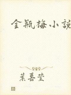 金瓶梅小说封面