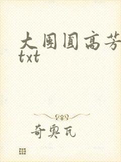 大团圆高芳小说txt