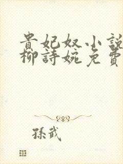 贵妃奴小说by柳诗婉免费阅读笔趣阁封面