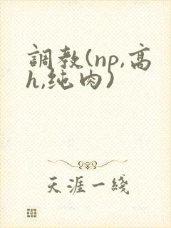 调教(np,高h,纯肉)