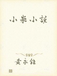 小米小说