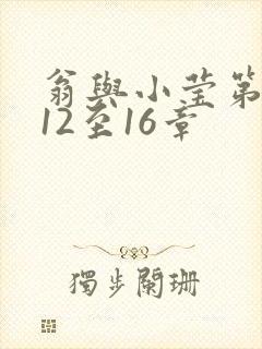 翁与小莹第十部12至16章