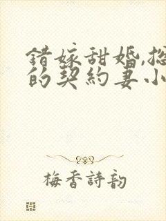 错嫁甜婚,总裁的契约妻小说