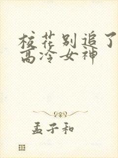 校花别追了了,高冷女神封面