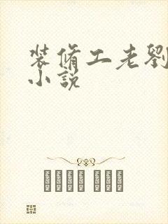 装修工老刘林雪小说