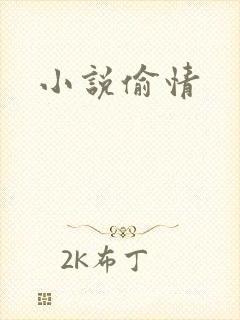 小说偷情封面