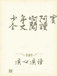 少年啊阿宾在线全文阅读封面