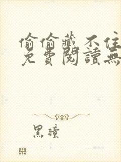 偷偷藏不住全文免费阅读无删减