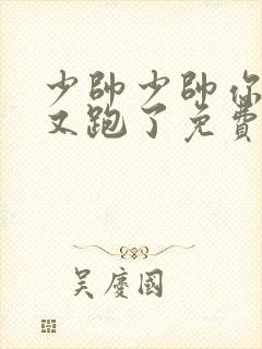 少帅少帅你老婆又跑了免费阅读封面