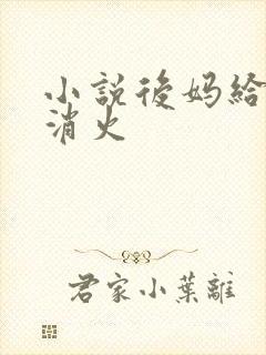 小说后妈给我消消火