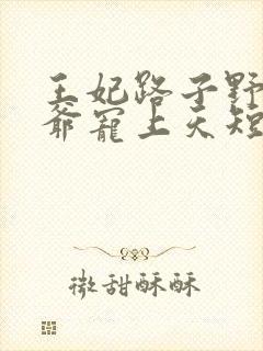 王妃路子野,王爷宠上天短剧免费观看
