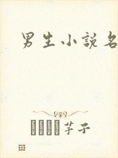 男生小说名字