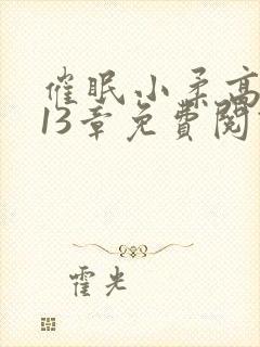 催眠小柔高达第13章免费阅读封面