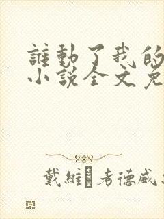 谁动了我的老婆小说全文免费阅读一封面