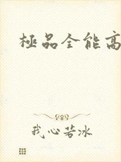 极品全能高手