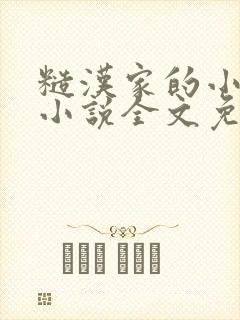 糙汉家的小娇夫小说全文免费阅读