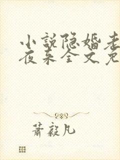 小说隐婚老公深夜来全文免费阅读封面