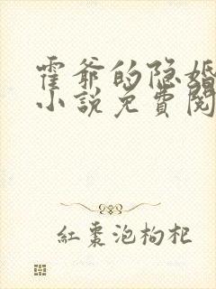 霍爷的隐婚暖妻小说免费阅读