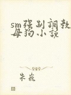 sm强制调教小母狗小说