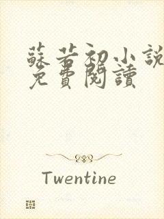 苏若初小说全文免费阅读封面