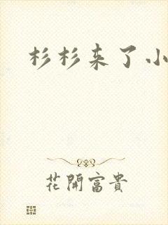 杉杉来了小说封面