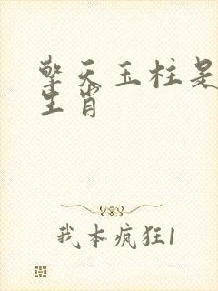 擎天玉柱是什么生肖