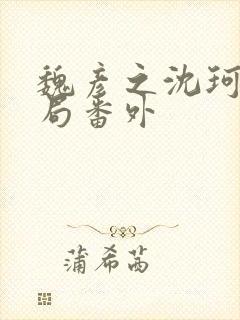 魏彦之沈珂大结局番外
