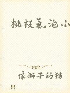 桃枝气泡小说封面