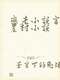恋老小说言情网农村小说封面