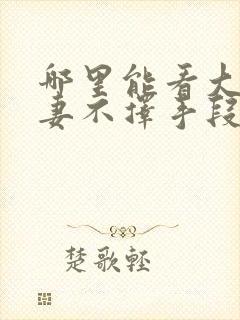 哪里能看大佬追妻不择手段