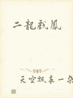 二龙戏凤